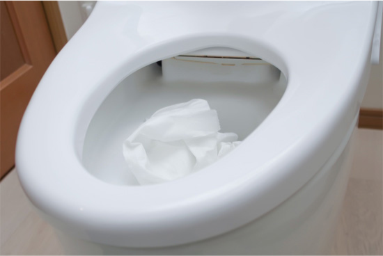トイレ詰まりの原因